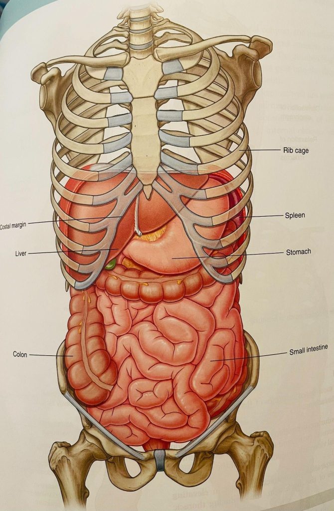 endometriosis excision surgery