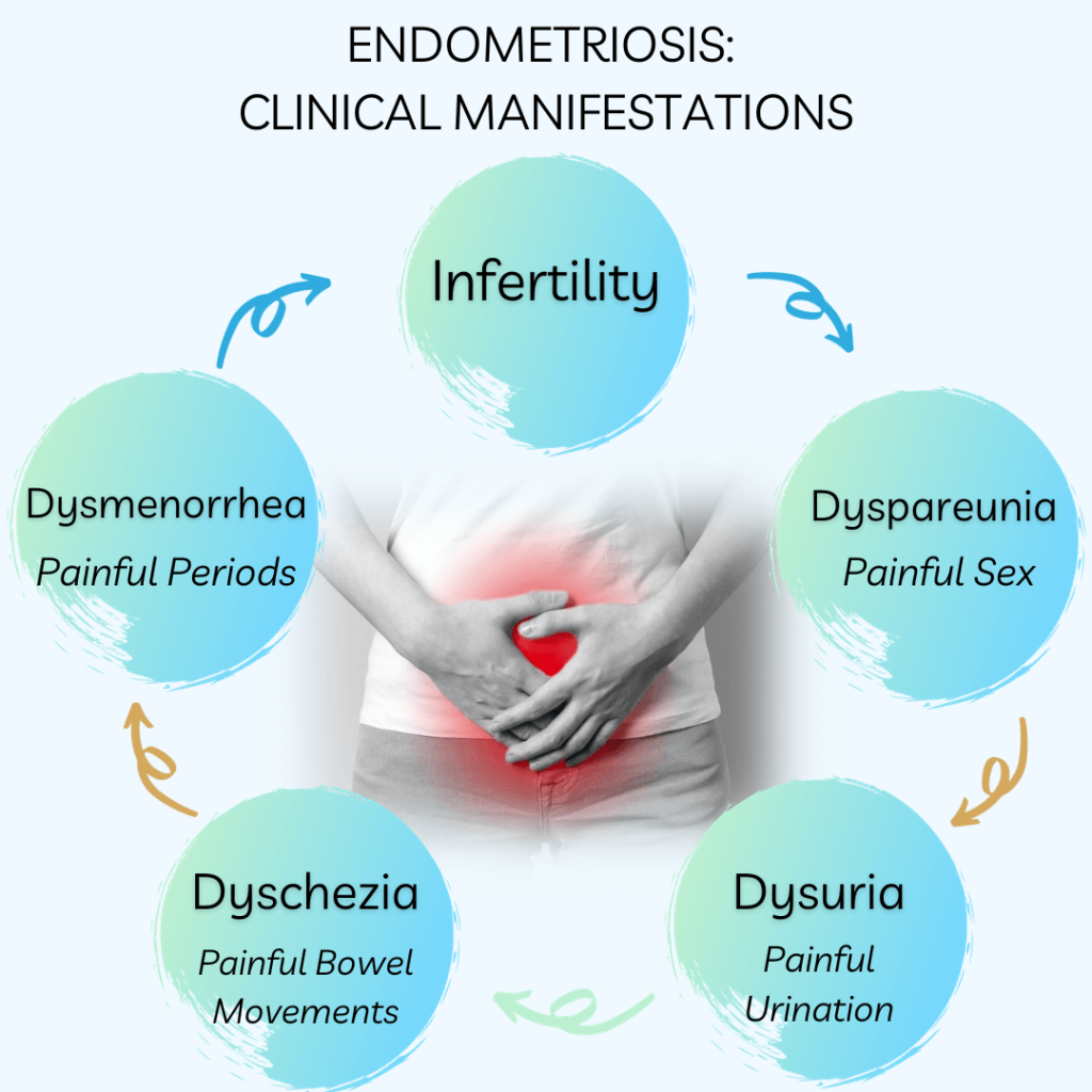 Understanding Endometriosis Unveiling the Common Symptoms and Their Impact iCareBetter